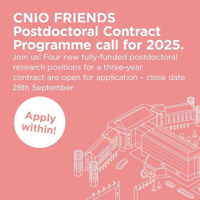 Convocatoria para contratos postdoctorales en el CNIO