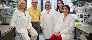 Investigadores proponen activar la grasa parda para combatir la obesidad