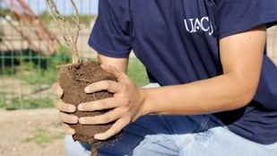 Estudiantes de la UACJ siembran árboles en jornada de reforestación