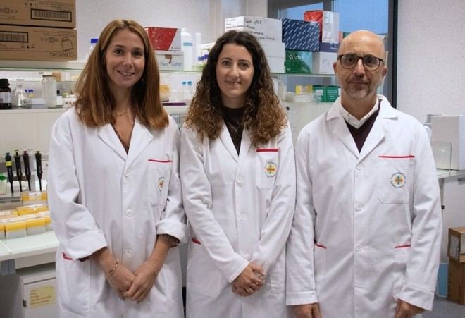 Descubren la importancia del gen Rnd3 en la migración neuronal y su relación con trastornos neurológicos