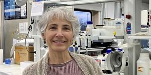 Un medicamento para el colesterol podría frenar el envejecimiento, según un estudio de Núria Casals