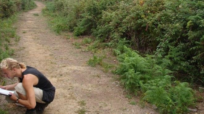 Luis Navarro aboga por un enfoque más integral en la gestión de incendios forestales