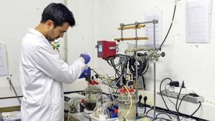 Investigación en biotecnología sostenible transforma residuos en compuestos útiles