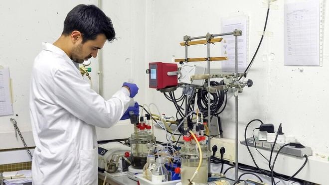 Investigación en biotecnología sostenible transforma residuos en compuestos útiles