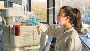 CRETUS desarrolla nuevas estrategias para eliminar pesticidas en suelos contaminados