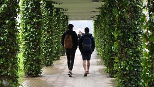 Estudiantes de la USC podrán realizar prácticas en empresas del Cluster Bioga