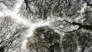 El proyecto DIPS impulsará el diseño de espacios públicos inclusivos en América Latina