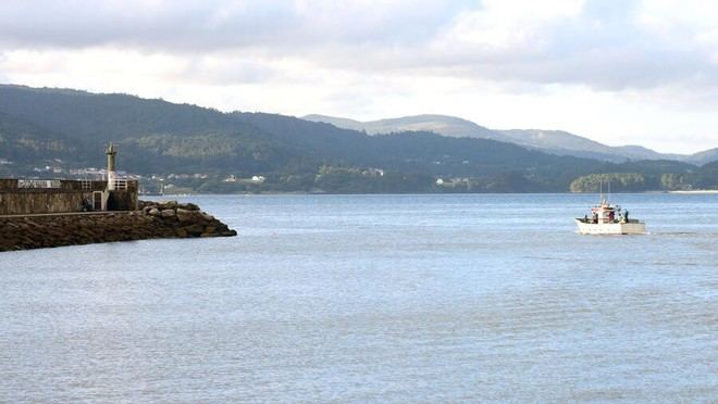 Revalgae: Proyecto para transformar algas invasoras en compuestos bioactivos en el Atlántico