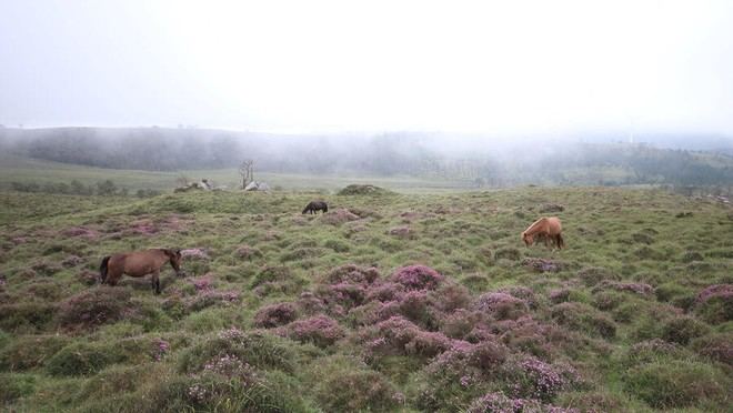 RURALtXA! protege más de 10.000 hectáreas de hábitats en Galicia