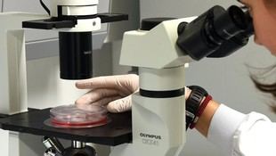 La USC obtiene más del 50% de los fondos para investigación en Galicia