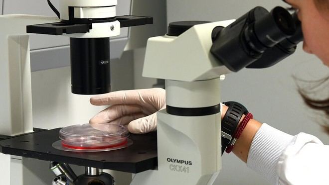 La USC obtiene más del 50% de los fondos para investigación en Galicia