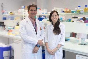 Investigadores españoles y canadienses estudian la obesidad en pacientes con enfermedad renal crónica
