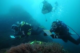 Observadores del Mar recibe mención de honor en el Premio de la UE a la Ciencia Ciudadana 2025