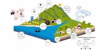 Los océanos pierden capacidad para absorber CO2 debido a la invasión de microplásticos
