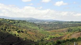 Once candidaturas compiten por el XXVI Premio Aresa de Desarrollo Rural