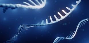 Nuevo método 'origami' acelera diagnóstico de enfermedades neurodegenerativas