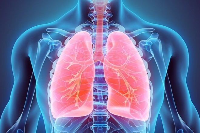 Investigadores de la Universidad de Oxford desarrollan una prueba respiratoria para detectar enfermedades pulmonares de forma temprana