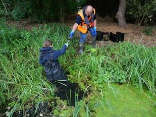 Crustáceos en peligro encuentran refugio en la Universidad de Warwick