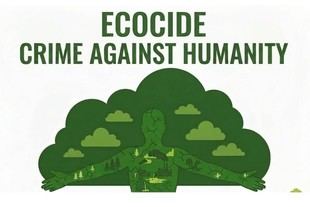 UNLP impulsa petición para declarar el ecocidio como crimen de lesa humanidad