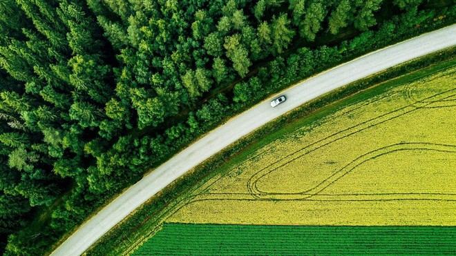 Desarrollan un índice global para medir la salud de las plantas