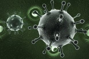 Estudio revela la magnitud de la hepatitis C en bebés y niños a nivel mundial