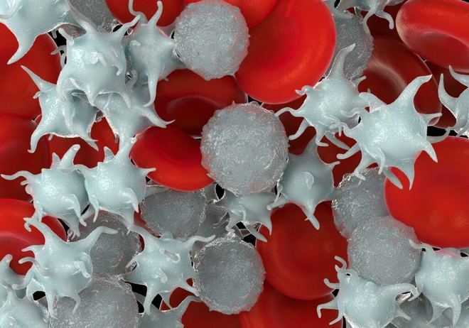 Descubren que las plaquetas almacenan ADN, lo que podría revolucionar la detección del cáncer