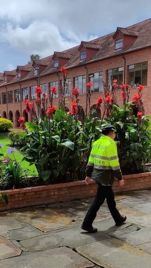 Investigación revela cómo la fusión de identidad en policías fortalece el compromiso con la paz