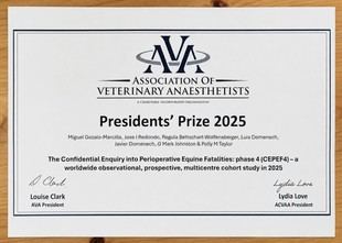 Investigadores españoles ganan premio por estudio sobre anestesia equina