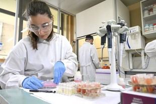 Abren las candidaturas para el Premio de Excelencia en Investigación Científica 2026