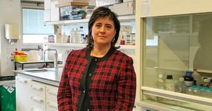 Premio a la Innovación Educativa reconoce a 11 docentes en 2026