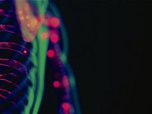 Premios ULisboa – redeSAÚDE 2025: Candidaturas abiertas hasta el 12 de noviembre