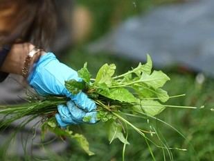 Abren inscripciones para el programa de voluntariado en el Museo de la ULisboa