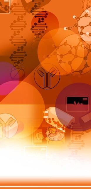 Programas de apoyo a la cooperación en investigación en Canadá