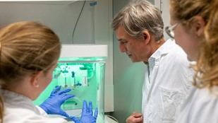 TUM desarrolla un innovador interruptor de ADN eléctrico para máquinas moleculares