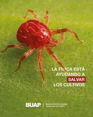 Científicos de la BUAP aplican Física para proteger cultivos agrícolas