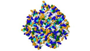 El proyecto andaluz Proteins Mosaic Q se une a la plataforma internacional SciStarter