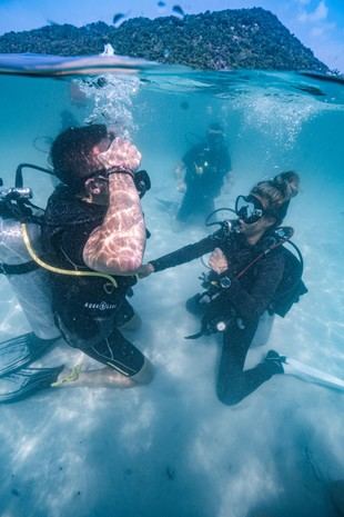 Pura Vida Diving Koh Tao se consolida como líder en buceo y conservación marina