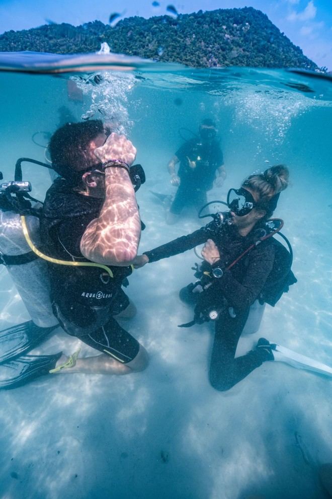 Pura Vida Diving Koh Tao se consolida como líder en buceo y conservación marina