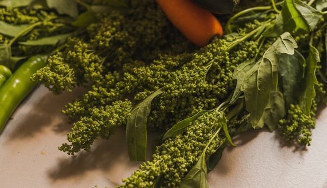 Quelites, las hierbas ancestrales que enriquecen la cocina mexicana