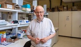 Ramón Martínez Máñez se une al Patronato del Instituto de Investigación Sanitaria La Fe