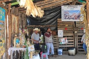 Cerro Prieto conmemora el Día del Maíz con encuentro académico comunitario