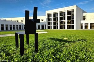 "Instalan escultura 'Rebanho' en los jardines de la FADEUP para fomentar la convivencia y la biodiversidad"