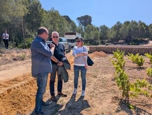Salou impulsa la recuperación de variedades ancestrales de vid para investigar su adaptación al cambio climático