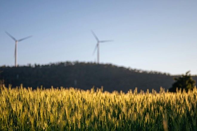 La selección genética de cultivos puede reducir las emisiones de metano sin afectar los rendimientos