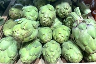 Uso de residuos de carxofa y pastanaga como ingredientes prebióticos