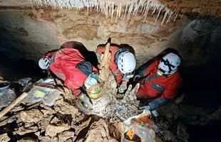 Descubrimiento de restos fósiles que transforman nuestra comprensión del pasado ecológico