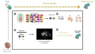 Investigadores de la UPM desarrollan técnicas computacionales para reutilizar fármacos en cáncer de pulmón