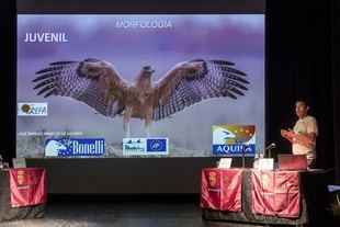 Robledo de Chavela organiza nuevas jornadas sobre conservación de la biodiversidad en los Cursos de Verano