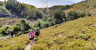 SASUP e ICBAS organizan exitosa caminata en las Serras de Valongo para promover el bienestar y la sostenibilidad