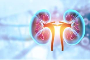 Nuevas técnicas para predecir la progresión de la enfermedad renal crónica